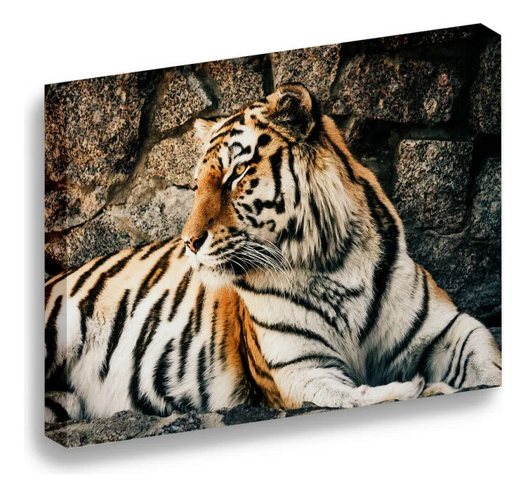 Cuadro Decorativo Canvas 45x60 Animales Pose Tigre